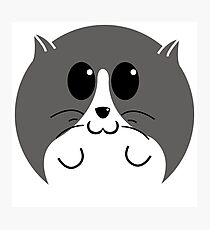 Kitteh - Gracie Photographic Print