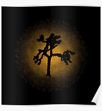 Joshua Tree Gold 30. Poster