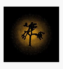 Joshua Tree Gold 30th Photographic Print