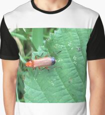 Soldier Beetle Graphic T-Shirt