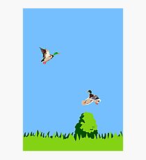 Ducks Photographic Print