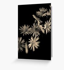 Untitled Greeting Card