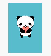 Kawaii Cute Panda Bear Photographic Print