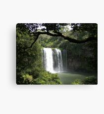 Dangar Falls, Northern Tablelands, New South Wales Canvas Print
