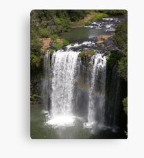 Dangar Falls, Northern Tablelands, New South Wales Canvas Print