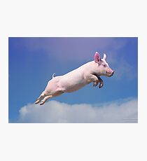And Pigs Can Fly Photographic Print