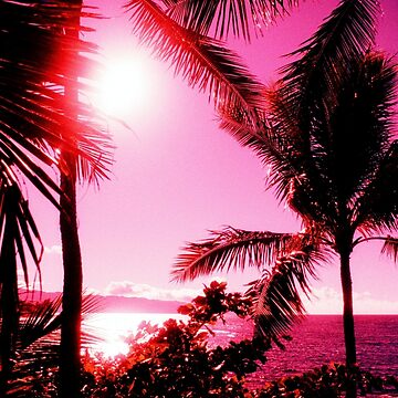 Tropical Palm fronds in light pink on a hot pink background