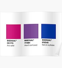 Bisexual Poster