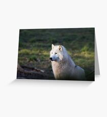 Canis Lupus Arctos II Greeting Card