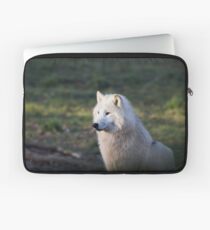 Canis Lupus Arctos II Laptop Sleeve
