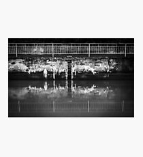 Pasture Photographic Print