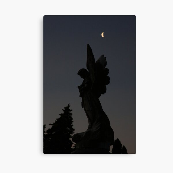 Moon Angel Canvas Print