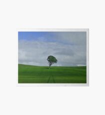 A Tree in a Field Art Board