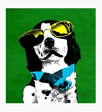 FUNNY DOG POP ART BLUE GREEN Photographic Print