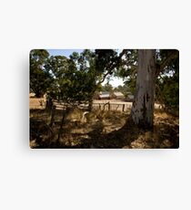 warrock woolshed Canvas Print
