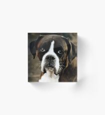 Arwen's Portrait -Boxer Dogs Series- Acrylic Block