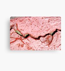 No Parking Canvas Print