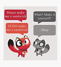 Make me a sandwich! Photographic Print