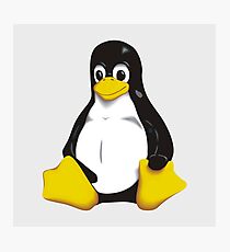 Tux Logo Photographic Print