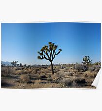 Joshua Tree Poster