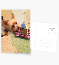 Teacup Yorkie Postcards
