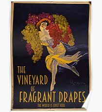 Visit the Vineyard of Fragrant Drapes! Poster