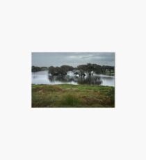 Wetlands Art Board