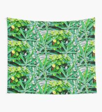 Euphorbia Euphorie Wandbehang