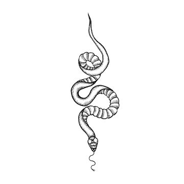 Snake Tattoo Set Vector (EPS, SVG) | OnlyGFX.com | Small hand tattoos,  Small tattoos for guys, Small snake tattoo