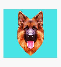 German Shepherd Art Portrait Photographic Print