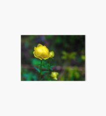 Flower macro Art Board