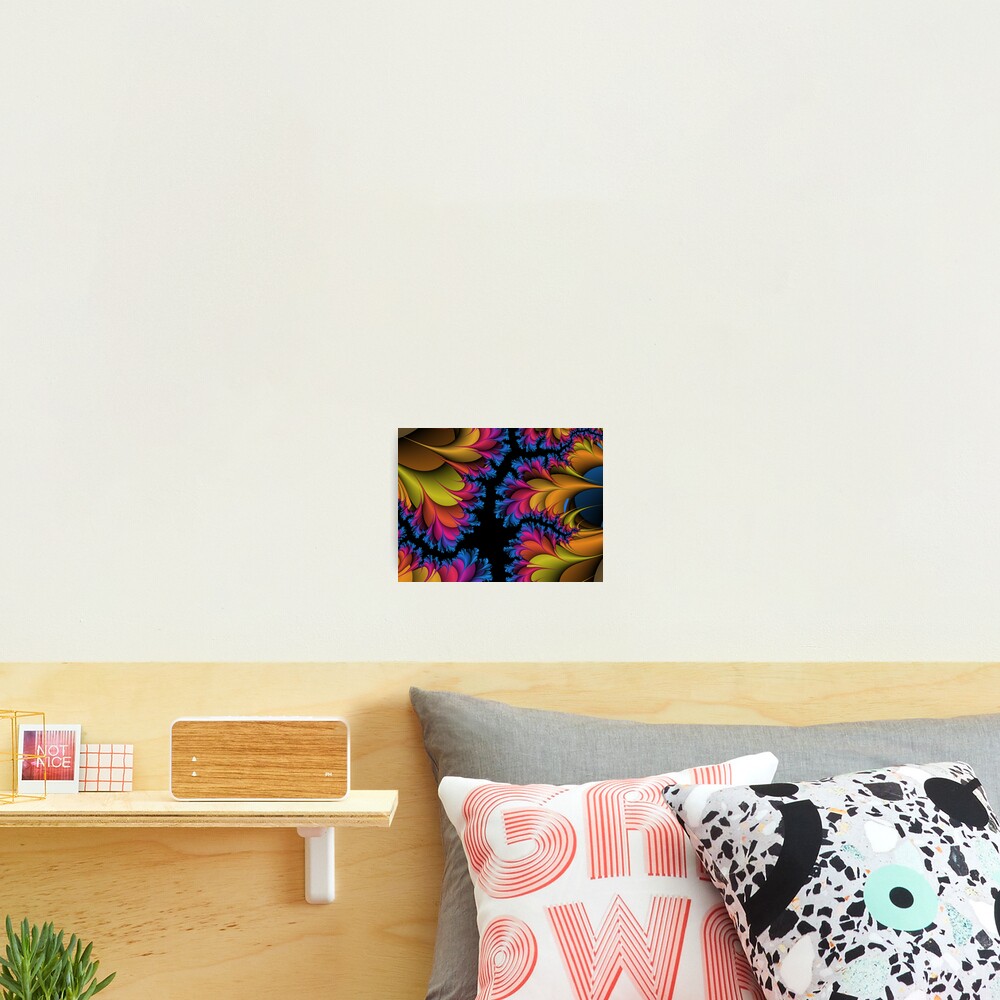 Frilly Clam Photographic Print