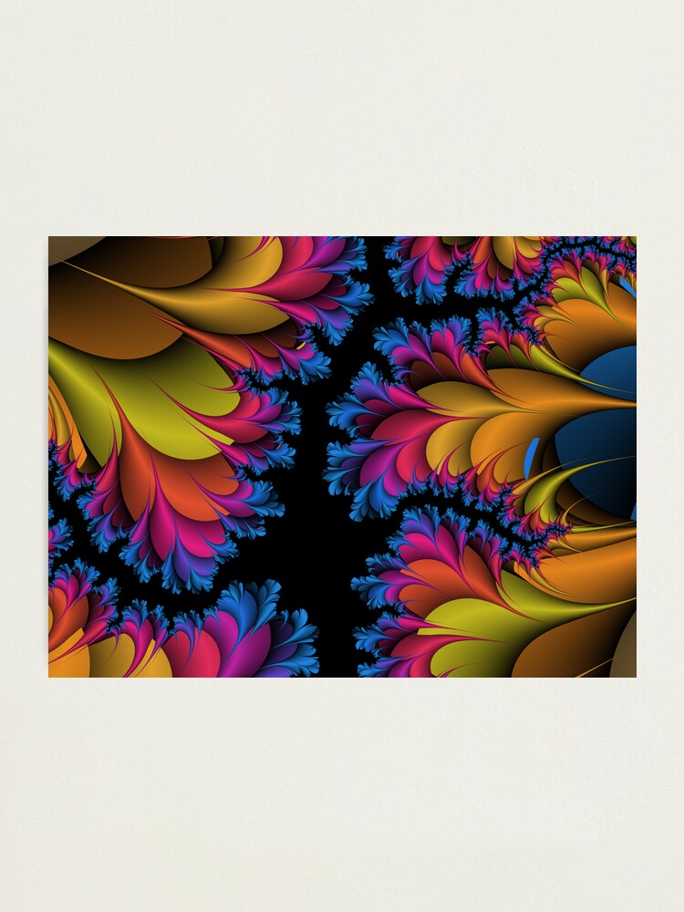 Alternate view of Frilly Clam Photographic Print