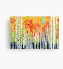 Autumn Aspen Trees Quaking Colorado Colorful Forest Metal Print