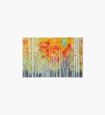 Autumn Aspen Trees Quaking Colorado Colorful Forest Art Board