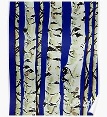 Aspen Trees Grove Old Winter Sky Blue White Trunks Strong Powerful Quaking Quakies Tree Landscape Rocky Mountains Jackie Carpenter Art Colorado Utah Montana Wyoming Poster