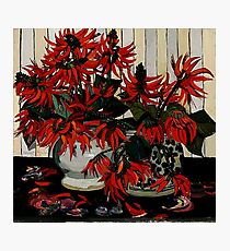 Margaret Preston Oil Painting “Coral Flowers” Photographic Print