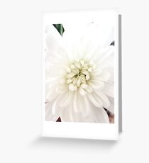 Whiteness Greeting Card