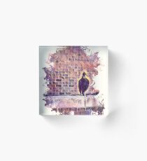 Bird on a ledge Acrylic Block