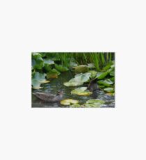 Duck, Dunk & Flower Art Board