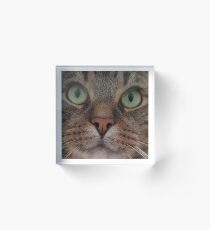 Surprise! Acrylic Block