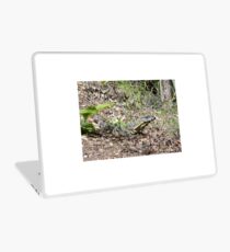 Goanna Laptop Skin