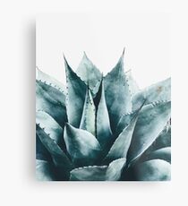 Plant print, Cactus print, Succulent, Scandinavian print, Trendy print, Styled, Pillow, Modern art, Wall art, Print, Minimalistic, Modern Metal Print