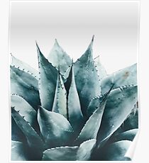 Pflanze print, Kaktus print, Sukkulenten, skandinavischen print, Trendy print, Stil, Kissen, moderne Kunst, Wandkunst, Print, minimalistisch, Modern Poster