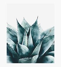 Plant print, Cactus print, Succulent, Scandinavian print, Trendy print, Styled, Pillow, Modern art, Wall art, Print, Minimalistic, Modern Photographic Print