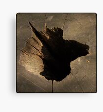 La méditation de l'arbre Canvas Print