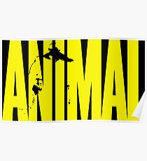 Póster animal, aptitud, músculo, fuerte, culturismo, logotipo, símbolo, nutrición, vitamina, refuerzo, barra, club.