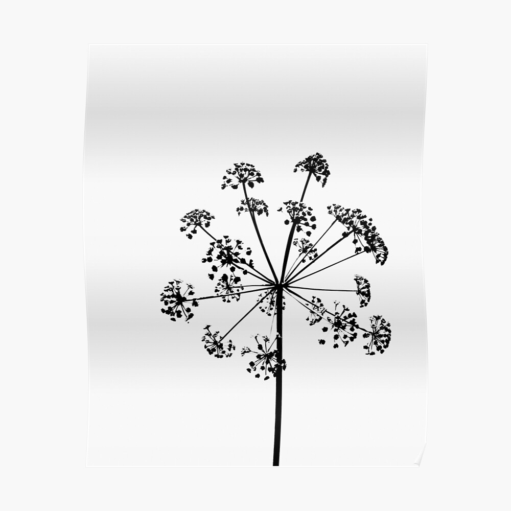 Plant Print Nature Scandinavian Print Scandinavian Nordic Trendy   Poster,840x830,f8f8f8 Pad,1000x1000,f8f8f8.u9 