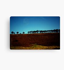 Levisham Ridge Canvas Print