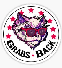 This Kitty Grabs Back Sticker